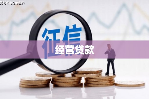 辽宁经营贷款
