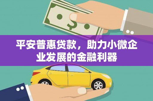 辽宁平安普惠贷款，助力小微企业发展的金融利器