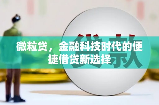 辽宁微粒贷，金融科技时代的便捷借贷新选择