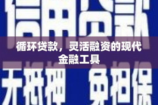 辽宁循环贷款，灵活融资的现代金融工具