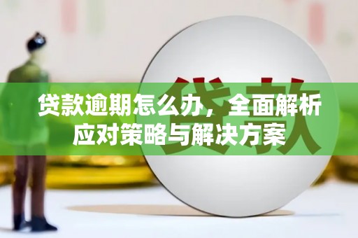 辽宁贷款逾期怎么办，全面解析应对策略与解决方案